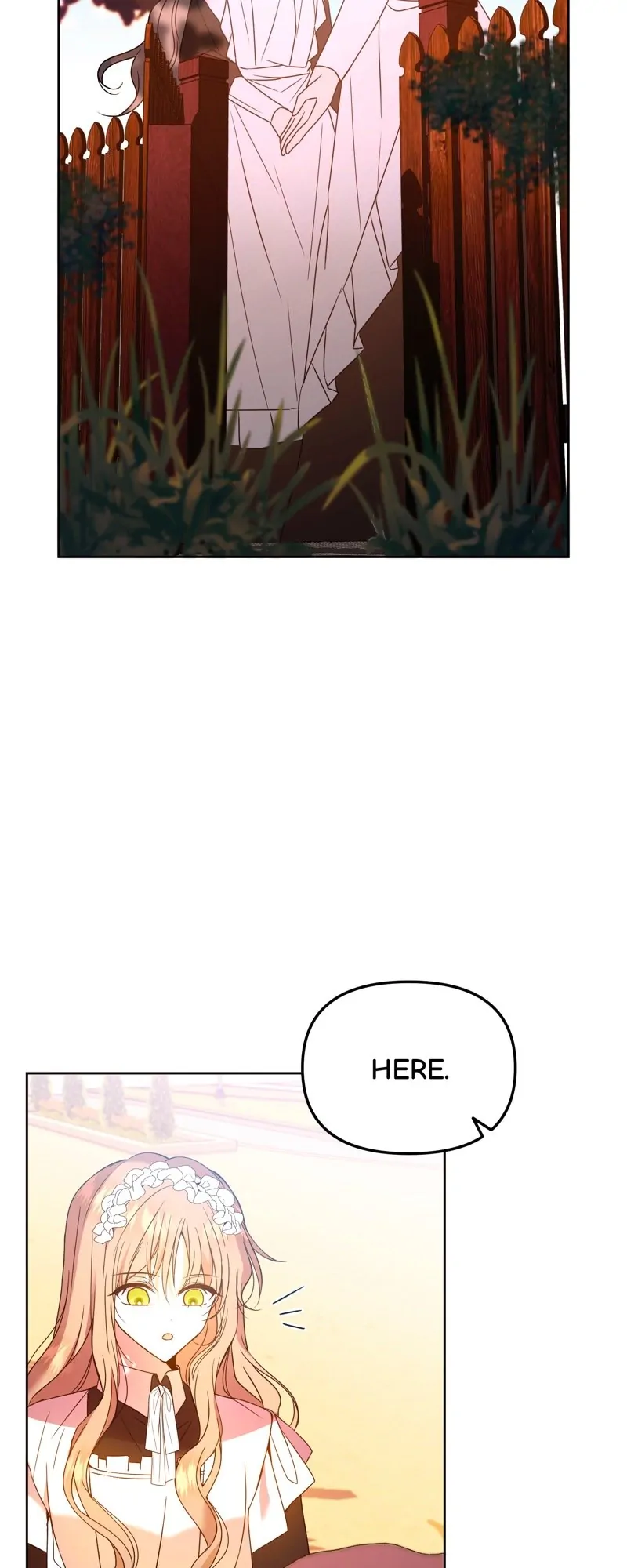 46528912 800 2000 71230