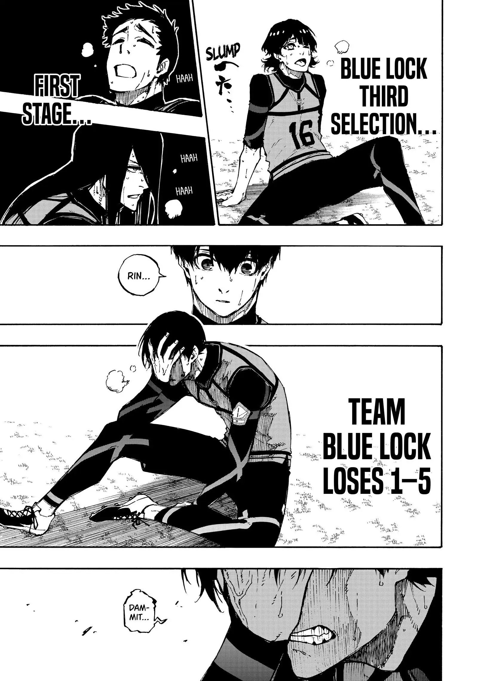 14570942 1600 2278 344188